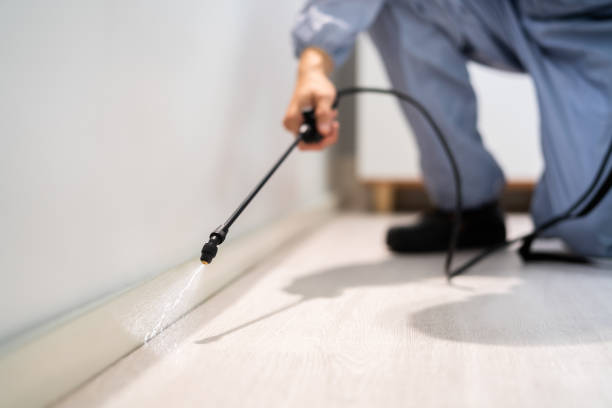 Professional exterminator conducting IPM assessment in Sparta